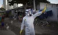 Vietnam belum mencatat pasien kejangkitan virus Zika