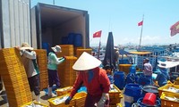 Para nelayan provinsi Khanh Hoa menyongsong Hari Raya Tet di laut