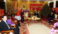 Wakil Presiden Vietnam, Nguyen Thi Doan mengunjungi beberapa daerah dan unit sehubungan dengan Hari Raya Tet 2016