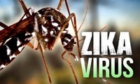 Banyak negara di dunia menemukan pasien pertama yang terkena virus Zika