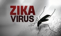 Vietnam meningkatkan peringatan terhadap aktivitas pencegahan dan pemberantasan wabah penyakit akibat virus Zika