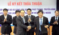 Memasok jasa radio dan televisi internet kepada tenaga kerja Vietnam di luar negeri