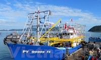 Asosiasi Perikanan Vietnam memprotes perintah melarang penangkapan ikan dari Tiongkok