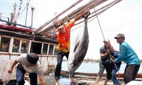 Vietnam menghadiri KTT Perikanan Asia Tenggara dan Pasifik