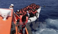 Italia menyelamatkan lebih dari 2.000 migran di laut