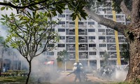 Tambah lagi kasus terinfeksi virus Zika di Singapura
