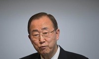 PBB mengimbau kepada semua negara supaya menghadapi kriminalitas lingkungan hidup