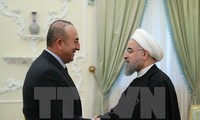 Iran ingin bekerjasama dengan Turki untuk menangani masalah Irak dan Suriah