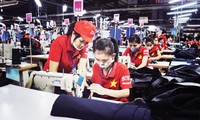 Mengembangkan peranan ekonomi swasta dalam membangun dan mengembangkan perekonomian Vietnam