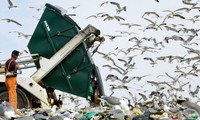 Uni Eropa menghadapi masalah limbah yang berbahaya