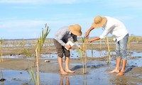 Vietnam berinisiatif dan aktif ikut serta dalam kerjasama ASEAN tentang lingkungan hidup