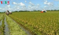 Pertanian daerah dataran rendah sungai Mekong menghadapi tantangan integrasi