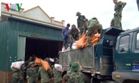  Provinsi Son La menerima barang bantuan dari ASEAN untuk warga di daerah banjir