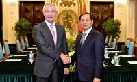 Konsultasi politik antara Deputi Menlu Vietnam, Bui Thanh Son dan Sekjen Kementerian Luar Negeri dan Eropa dari Belgia, Dirk Achten