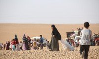  Suriah: Krisis migran terbesar di dunia