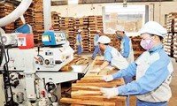 Ekspor kayu dan produk dari kayu Vietnam pada tahun 2018