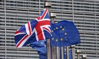   Masalah Brexit: Majelis Tinggi Inggris menolak rekomendasi untuk ke luar dari Persekutuan Beacukai