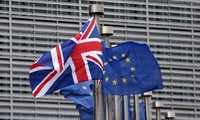Masalah Brexit: Grup-grup Eropa memperingatkan tidak melakukan investasi di Inggris