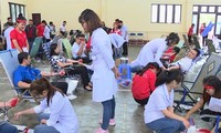 Ratusan orang ikut serta dalam pesta donor darah “Tetesan darah merah daerah Tay Nguyen”
