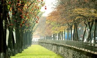 Warna musim gugur Kota Ha Noi