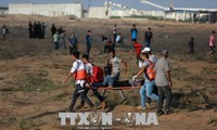 Lebih dari 180 orang Palestina mendapat luka-luka dalam baku tembak dengan para serdadu Israel di Jalur Gaza