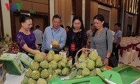 Provinsi Son La memperhebat ekspor hasil pertanian bersih dan aman.
