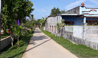 Kehidupan Baru di Satu Kecamatan di Daerah Tay Nguyen