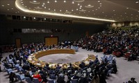Vietnam dan DK PBB: Vietnam mendukung usaha mencari solusi politik bagi Suriah