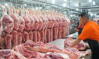 Menyesuaikan harga daging babi di taraf 70.000 VND per Kg