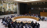 Vietnam menegaskan pendirian yang konsekuen dalam mendukung solusi “dua Negara” bagi masalah Palestina-Israel