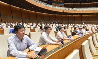 Persidangan ke-9, MN Vietnam angkatan XIV: kesan-kesan parlementer