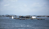 Asosiasi Budidaya Hasil Laut Vietnam: Menghimpun Kekuatan Multicabang  untuk Mengembangkan Ekonomi Laut