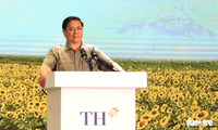 PM Pham Minh Chinh Melakukan Temu Kerja dengan Grup TH