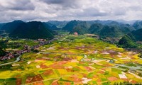 Pembentukan Dewan Koordinasi Daerah Lereng Gunung dan Daerah Pegunungan Vietnam Utara untuk Periode 2021-2025