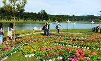Memperkenalkan Festival Bunga Da Lat dan Taman Nasional Phong Nha-Ke Bang