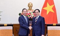 Vietnam dan Laos Perkuat Dukungan Satu Sama Lain di Forum Internasional dan Regional