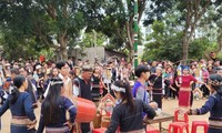 Masyarakat  Etnis Minoritas Xe Dang di Dukuh Kon H'ring Merayakan “Hari Raya Tet Nasi Baru“