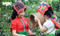 Festival Kopi Provinsi Son La Turut Memuliakan Kopi Vietnam