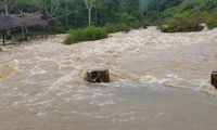  UNDP Menyerukan Dukungan kepada Vietnam dalam Peringatan Dini untuk Meminimalkan Kerugian Akibat Bencana Alam