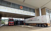 Kegiatan Ekspor-Impor dan Imigrasi Ramai pada Hari Pertama Tahun Baru di Koridor Perbatasan Lao Cai