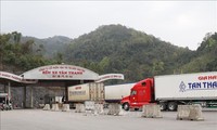 Lebih dari 1.000 Badan Usaha Vietnam Berpartisipasi dalam Ekspor-Impor Barang pada Hari Raya Tet