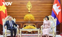 Presiden To Lam Beraudiensi kepada Ketua Parlemen Kamboja