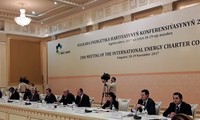 Int'l conference vows to develop sustainable energy