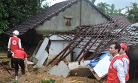 European Union helps typhoon Damrey victims in Vietnam