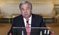 UN chief stresses importance of conflict prevention 