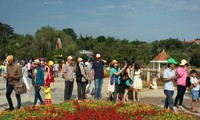 Da Lat international flower exhibition draws 60,000 visitors