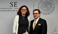 EU, Mexico agree new free trade pact 