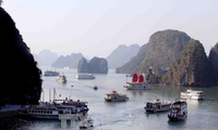 Ha Long-Cat Ba Alliance discusses waste water, tourism management