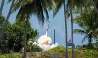US carries out successful THAAD remote launcher test