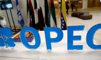 OPEC lowers global oil demand forecast